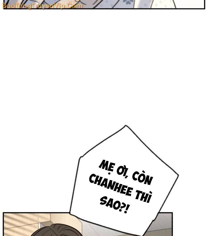 Mọi Người Đều Yêu Cô Ấy Chap 14 - Next Chap 15