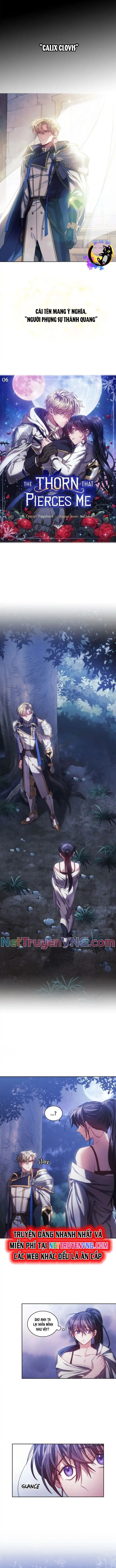 mối tình chông gai Chap 6 - Next Chap 7