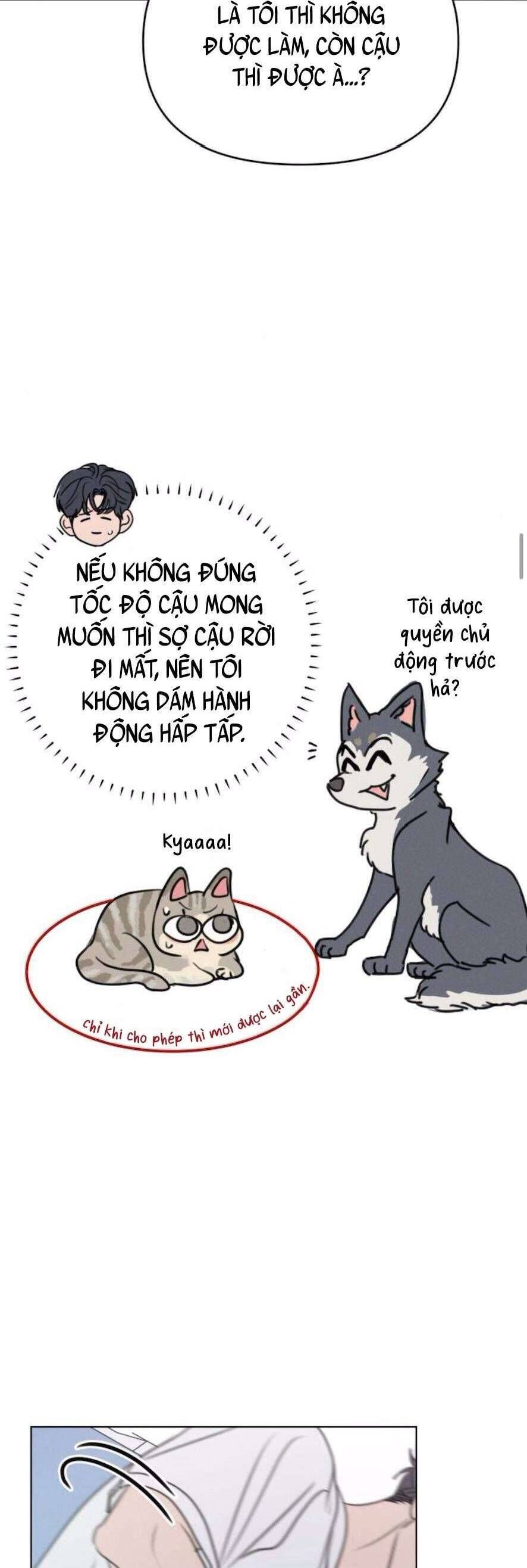 Muốn Được Lừa Dối Chap 18 - Next Chap 19