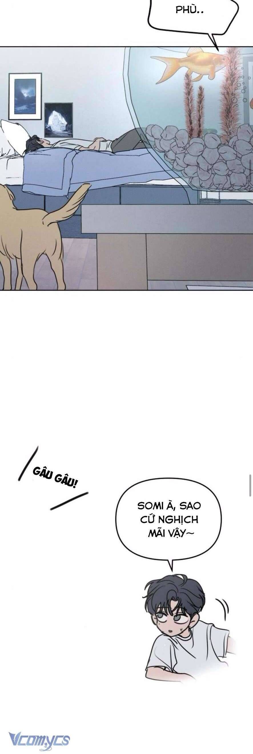 Muốn Được Lừa Dối Chap 18 - Next Chap 19