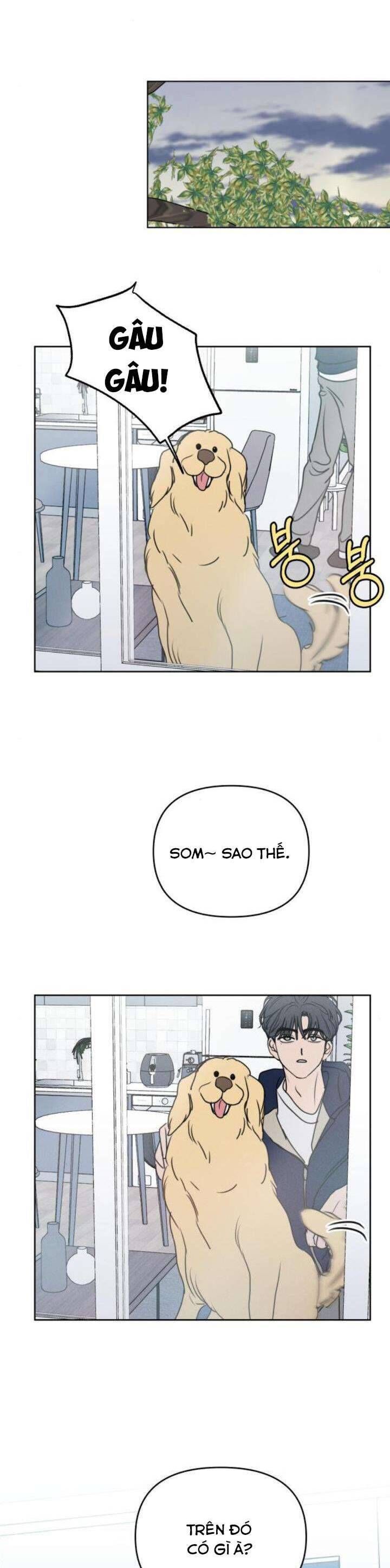 Muốn Được Lừa Dối Chap 20 - Next Chap 21