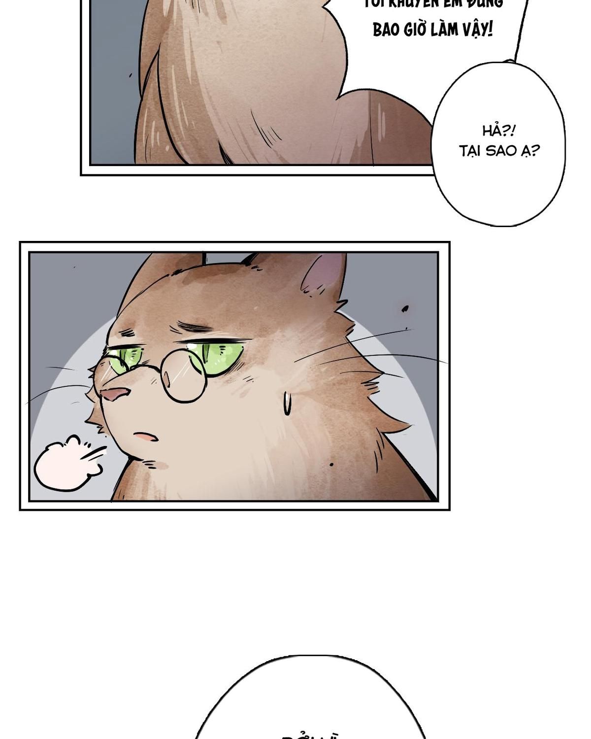 Năm Bạn Mèo Chap 31 - Next Chap 32