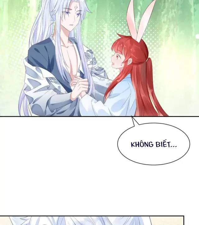 NAM CHỦ HẮC HÓA NUÔI DƯỠNG THỎ ONLINE Chap 15 - Next Chap 16