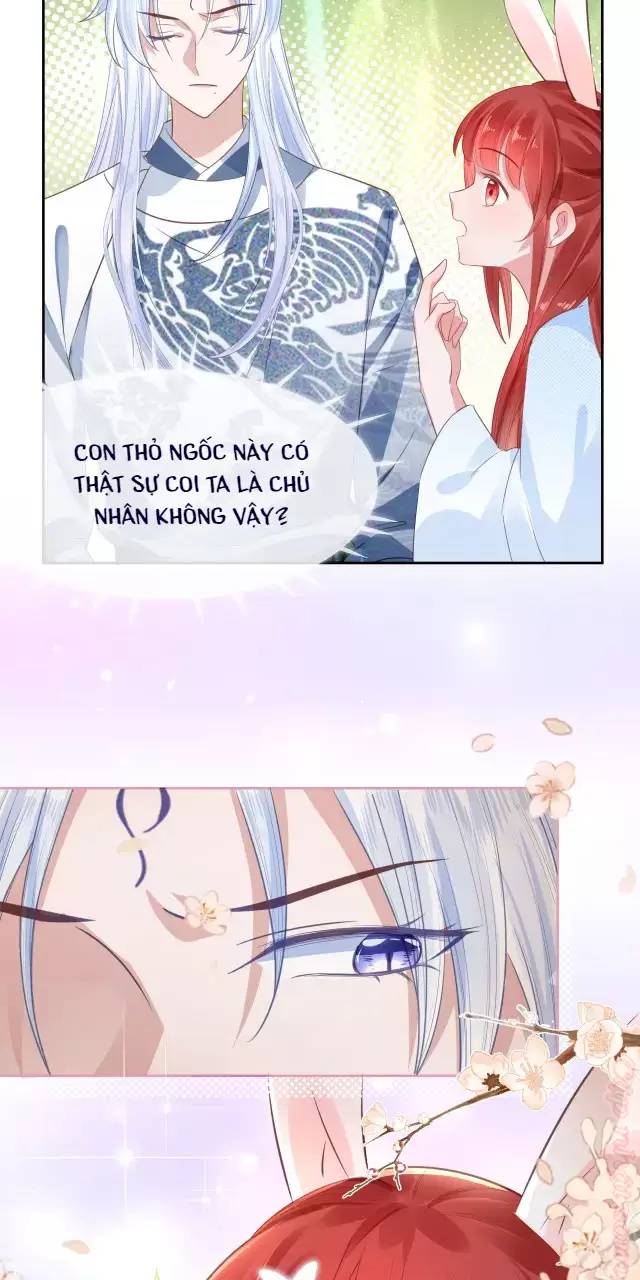 NAM CHỦ HẮC HÓA NUÔI DƯỠNG THỎ ONLINE Chap 15 - Next Chap 16