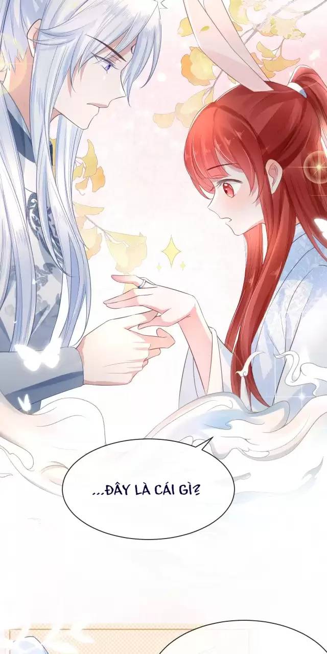 NAM CHỦ HẮC HÓA NUÔI DƯỠNG THỎ ONLINE Chap 15 - Next Chap 16