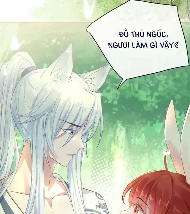 NAM CHỦ HẮC HÓA NUÔI DƯỠNG THỎ ONLINE Chap 15 - Next Chap 16