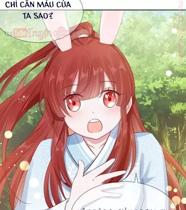 NAM CHỦ HẮC HÓA NUÔI DƯỠNG THỎ ONLINE Chap 16 - Next Chap 17