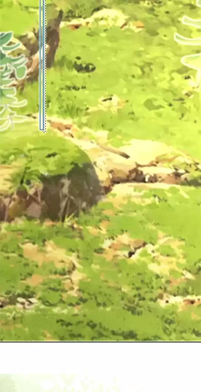 NAM CHỦ HẮC HÓA NUÔI DƯỠNG THỎ ONLINE Chap 23 - Next Chap 24