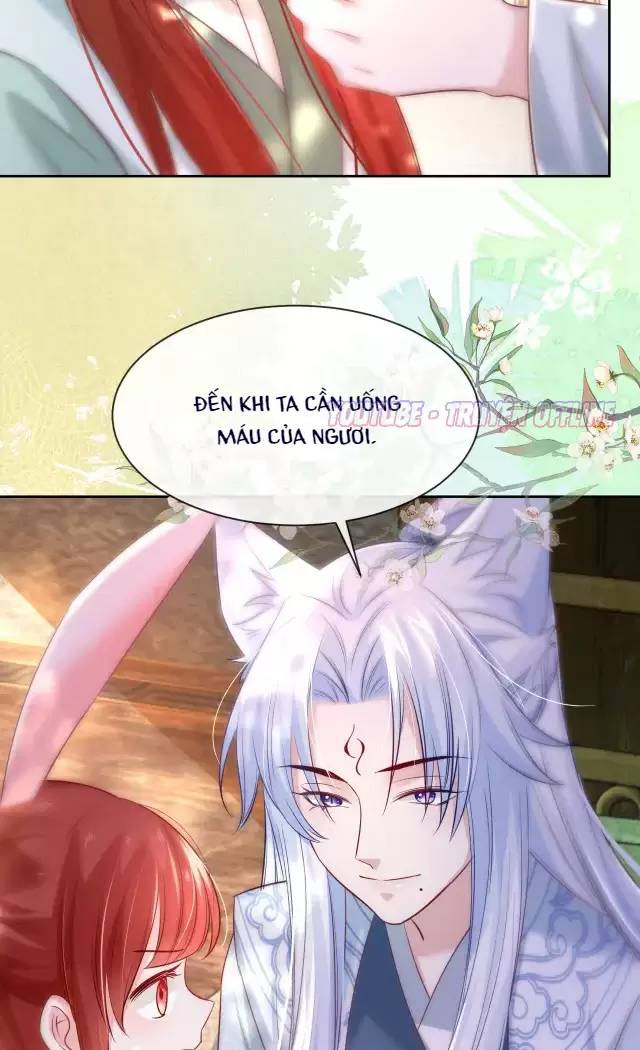 NAM CHỦ HẮC HÓA NUÔI DƯỠNG THỎ ONLINE Chap 29 - Next Chap 30