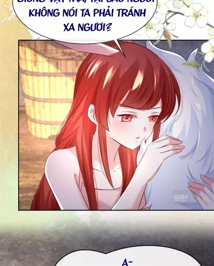 NAM CHỦ HẮC HÓA NUÔI DƯỠNG THỎ ONLINE Chap 32 - Next Chap 33