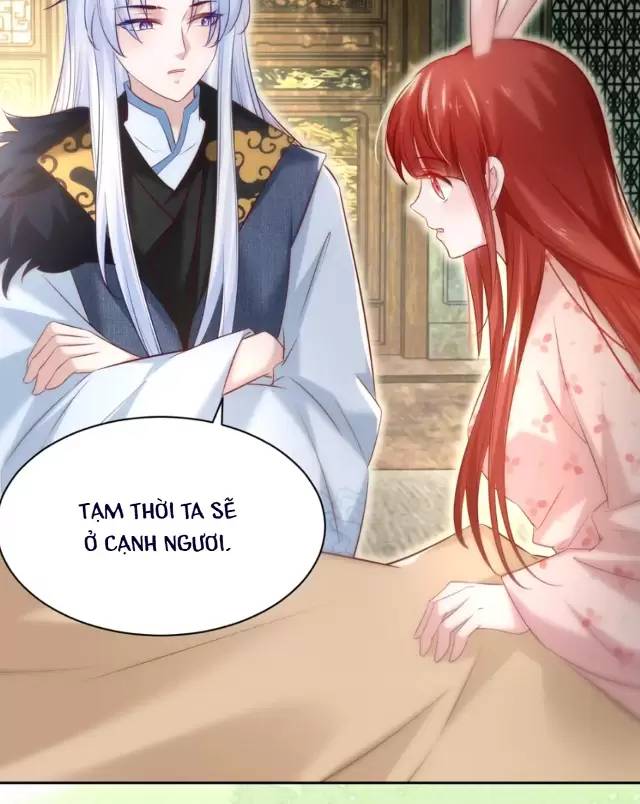 NAM CHỦ HẮC HÓA NUÔI DƯỠNG THỎ ONLINE Chap 33 - Next Chap 34