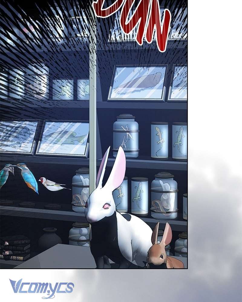 Nàng Dâu Hắc Diện Thạch Chap 1 - Next Chap 2