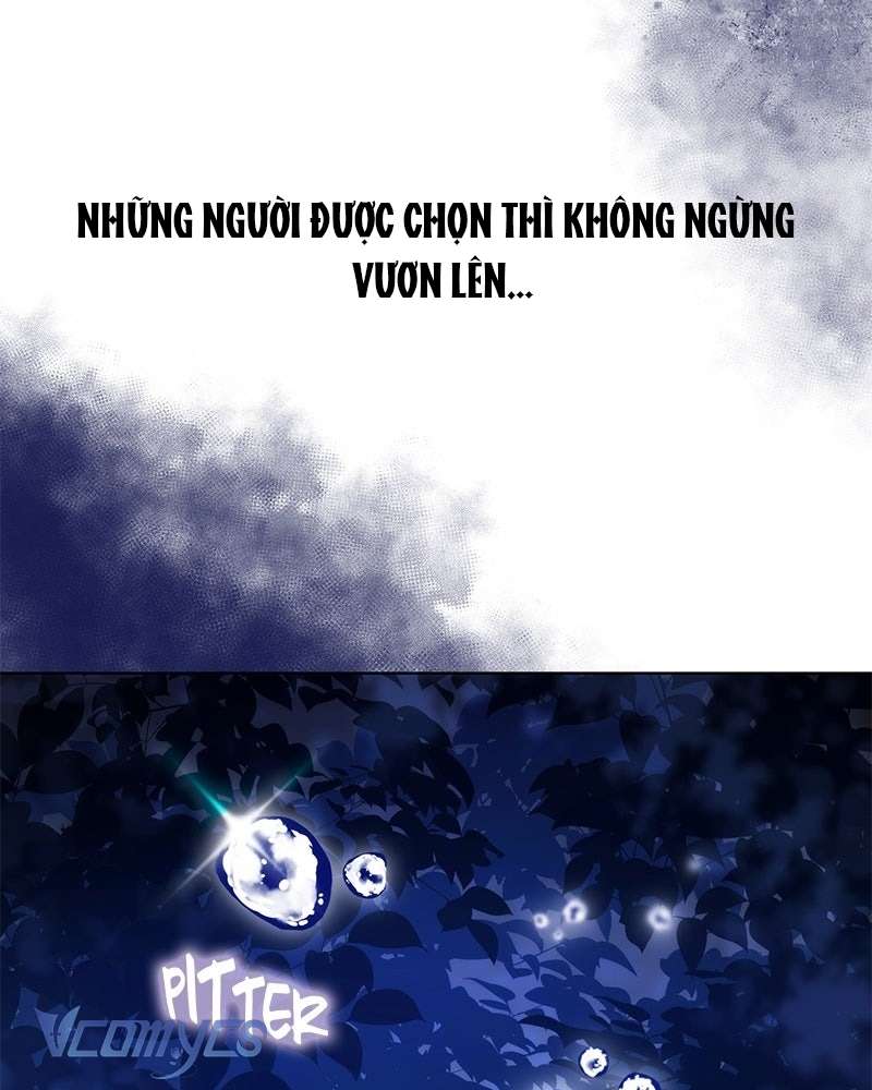 Nàng Dâu Hắc Diện Thạch Chap 1 - Next Chap 2