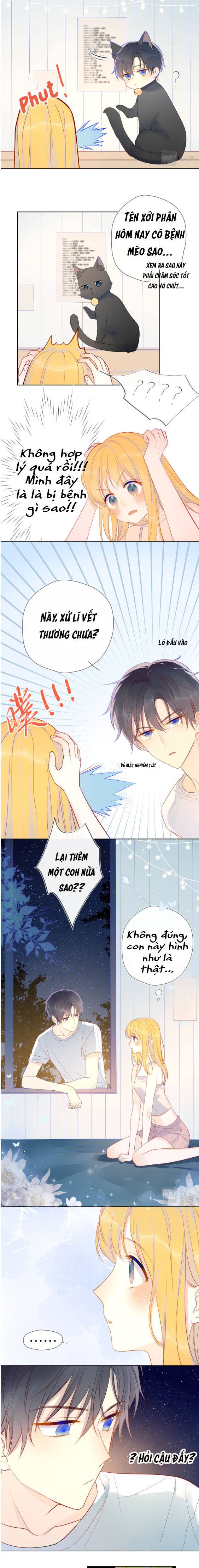 NGÔI SAO MAY MẮN DÀNH CHO TÔI Chap 7 - Next Chap 8