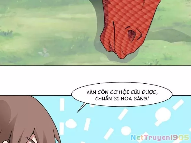 Ngự Thần Trùng Sinh Chap 132 - Next Chap 133