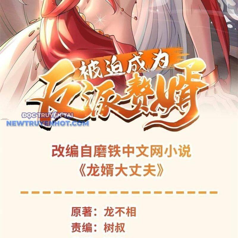 Người Ở Rể Bị Ép Thành Phản Diện Chap 642 - Next Chap 643