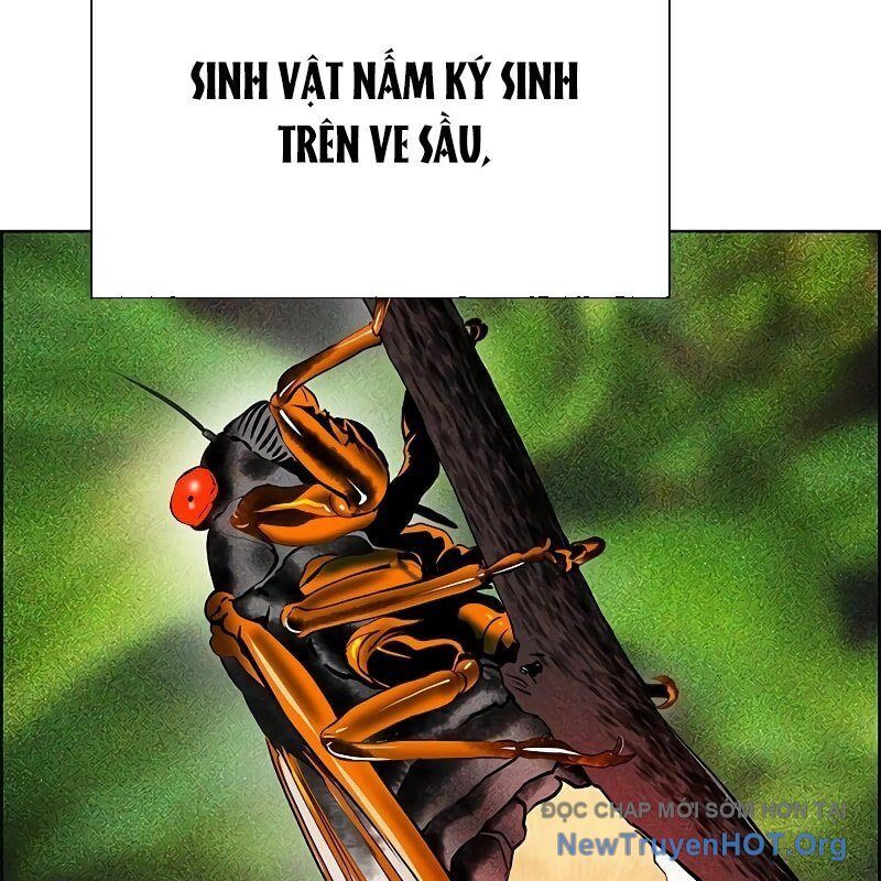 Nhân Trùng Đại Chiến Chap 169 - Next Chap 170