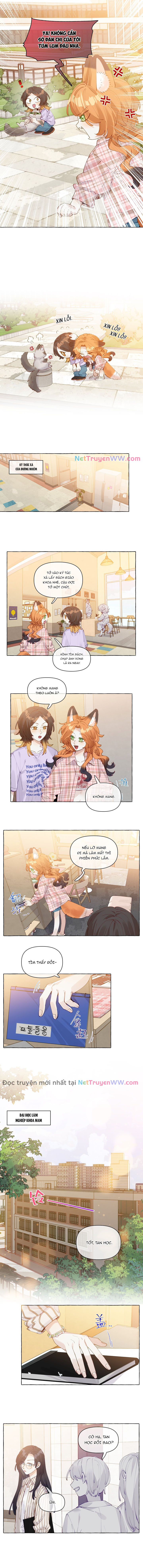 Những Lời Nói Dối Của Hồ Ly Chap 11 - Next Chap 12