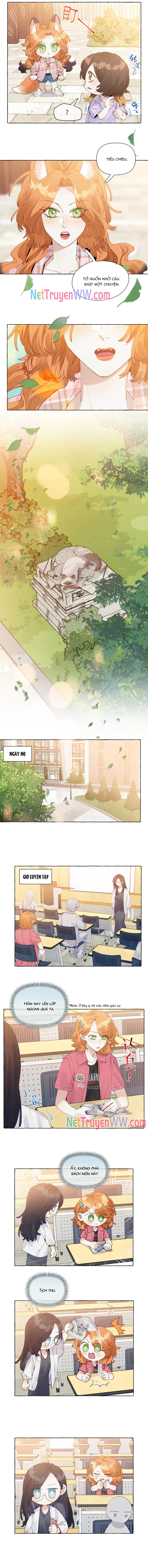 Những Lời Nói Dối Của Hồ Ly Chap 12 - Next Chap 13