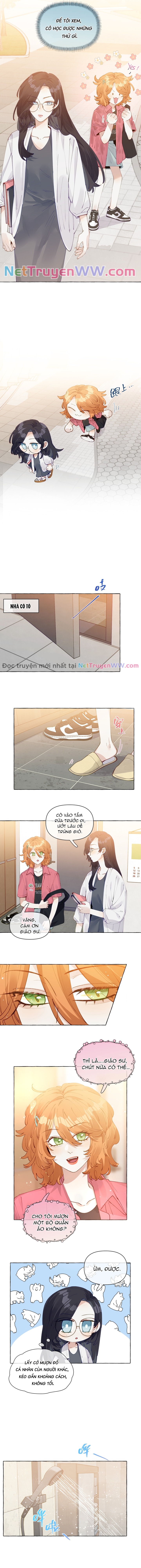 Những Lời Nói Dối Của Hồ Ly Chap 13 - Next Chap 14