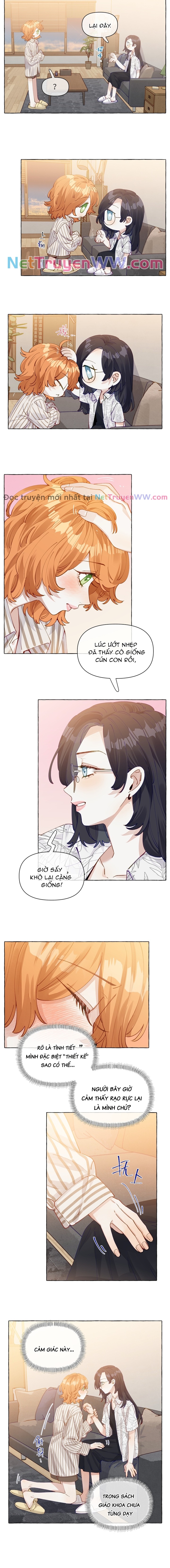 Những Lời Nói Dối Của Hồ Ly Chap 13 - Next Chap 14