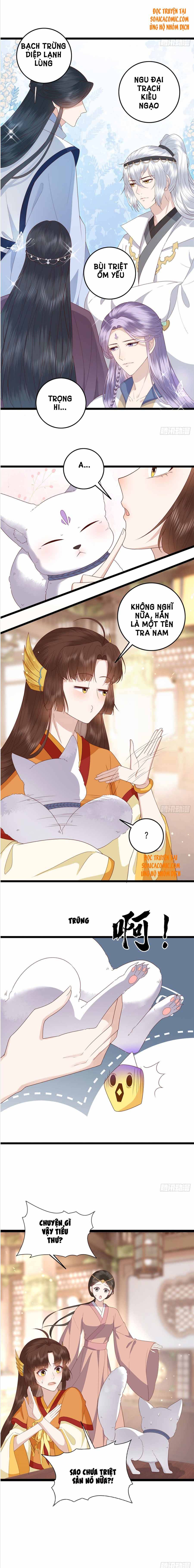Nữ Xứng Này Không Dễ Trêu Chọc Chap 14 - Next Chap 15