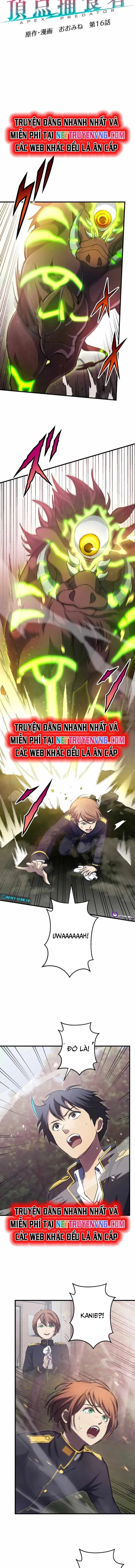 Quật Khởi Từ Tầng Đáy Chap 16 - Next Chap 17