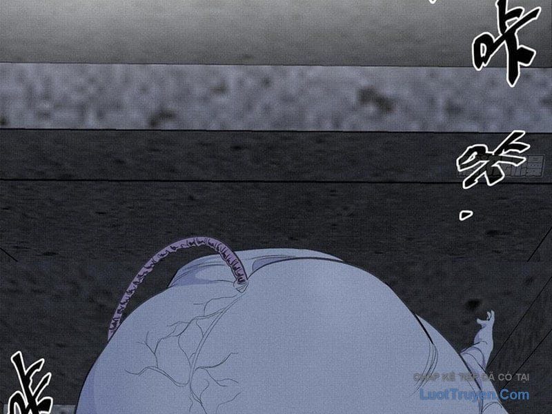 Sắc Lệnh Săn Thần Chap 11 - Next Chap 12