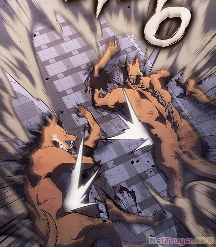 Solo Leveling Arise: Nguồn Gốc Của Thợ Săn Chap 14 - Next Chap 15