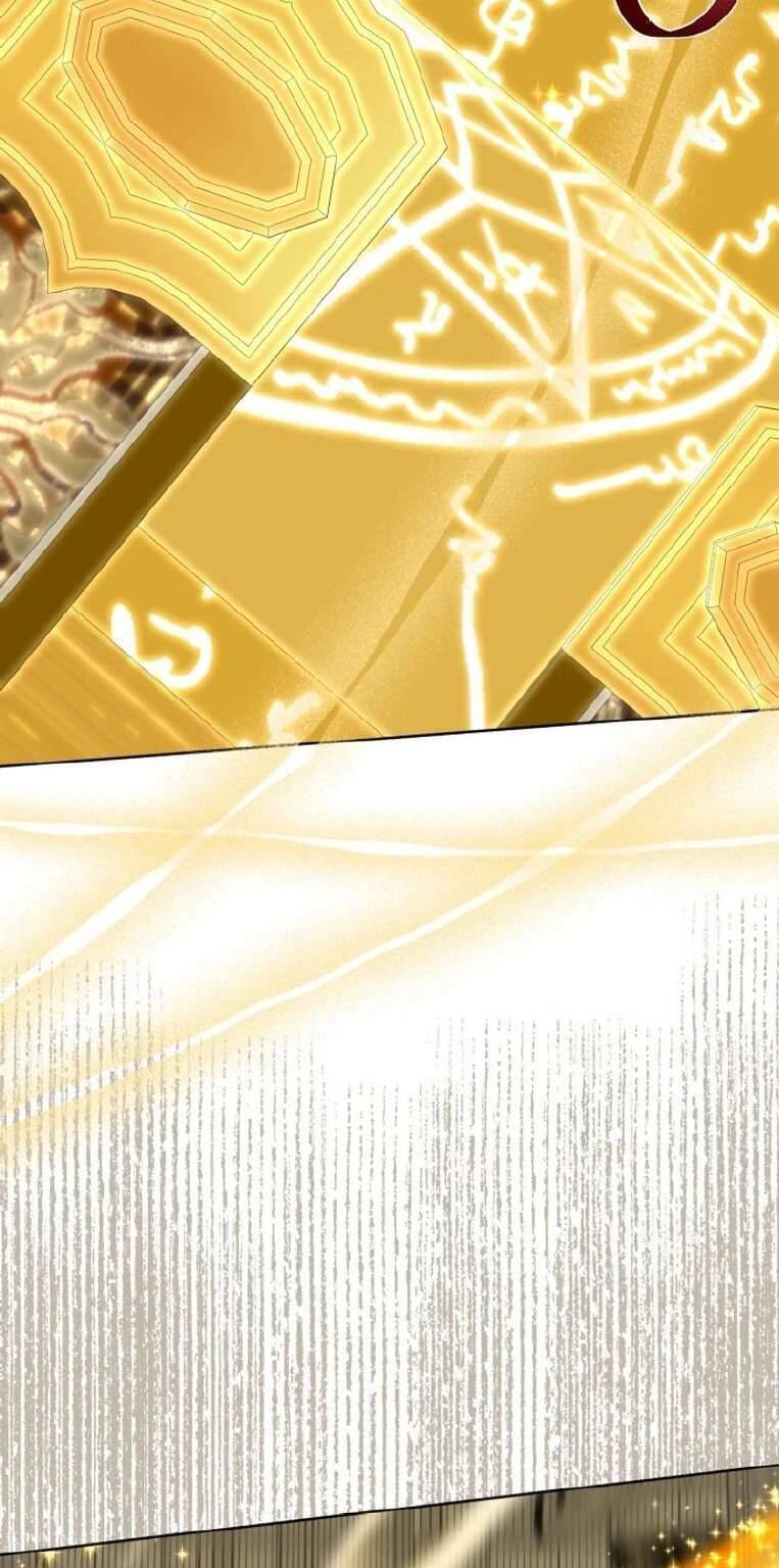 Sự Điều Trị Đặc Biệt Của Tinh Linh Chap 99 - Next Chap 100