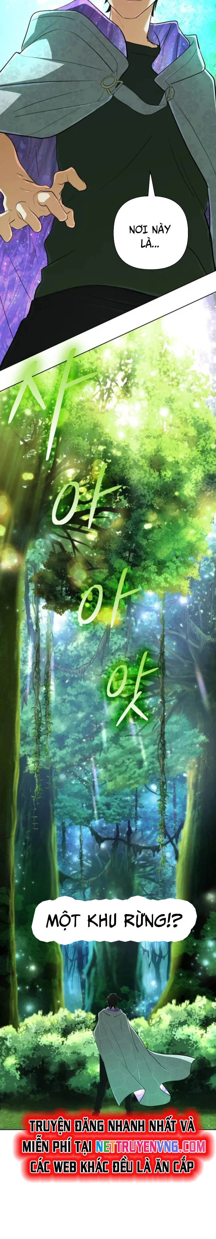 Sự Trở Lại Của Đại Pháp Sư Huyền Thoại Chap 39 - Next Chap 40