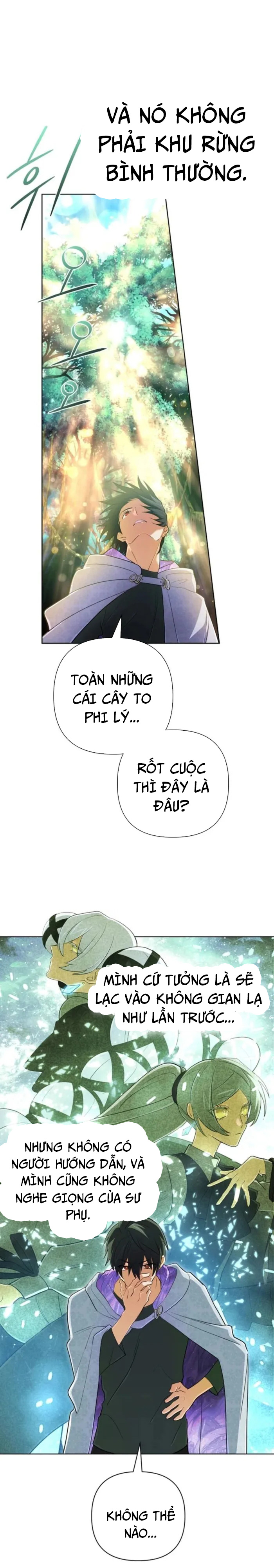 Sự Trở Lại Của Đại Pháp Sư Huyền Thoại Chap 39 - Next Chap 40