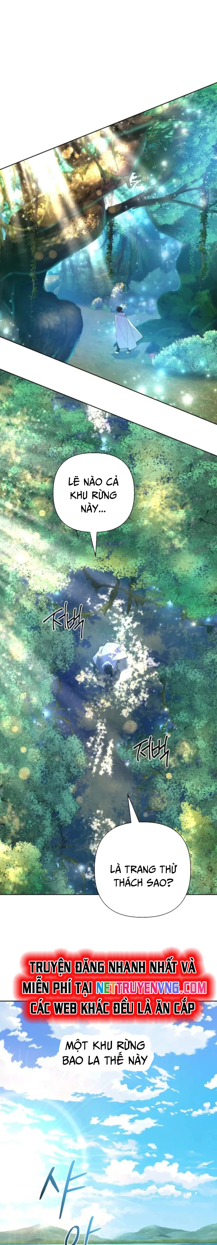 Sự Trở Lại Của Đại Pháp Sư Huyền Thoại Chap 39 - Next Chap 40