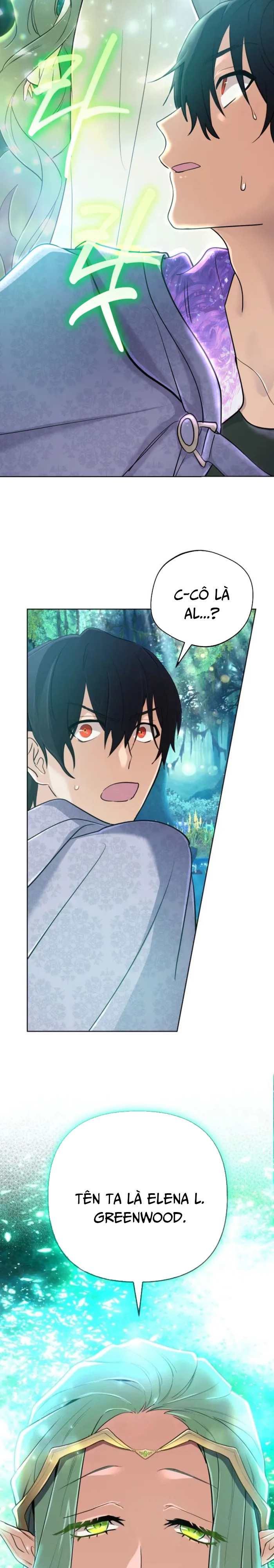 Sự Trở Lại Của Đại Pháp Sư Huyền Thoại Chap 39 - Next Chap 40