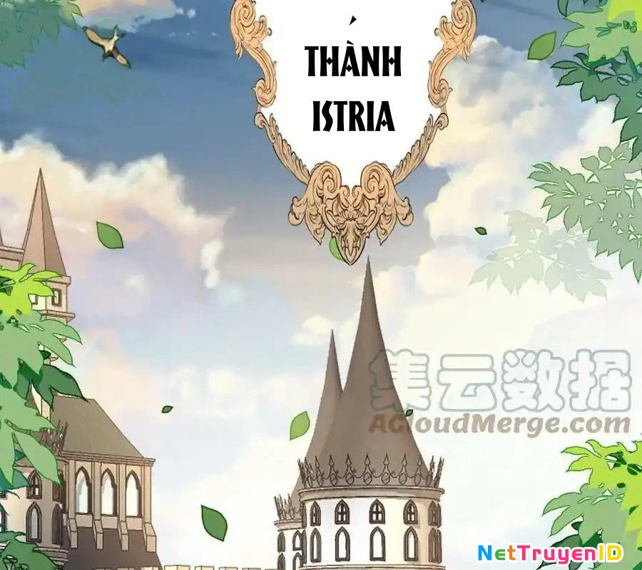 Sức Mạnh Của Kiếm Thần Chap 72 - Next Chap 73