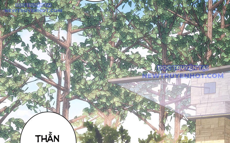 Ta Có Thể Thấy Tỉ Lệ Thành Công Chap 211 - Next Chap 212