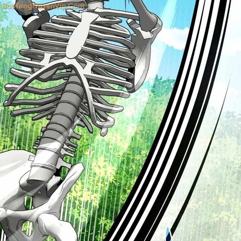 Ta Nuôi 1 Bầy Skeleton Chap 12 - Next Chap 13