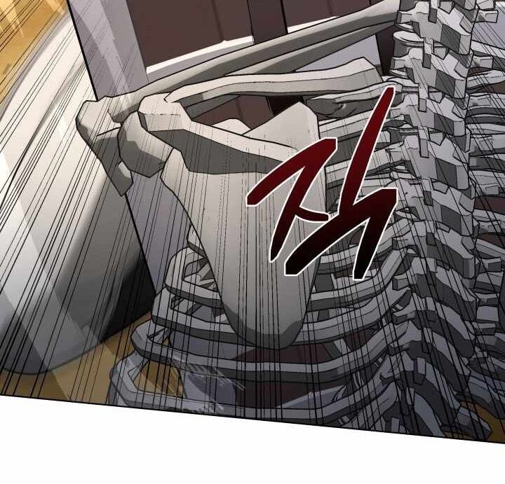 Ta Nuôi 1 Bầy Skeleton Chap 16 - Next Chap 17