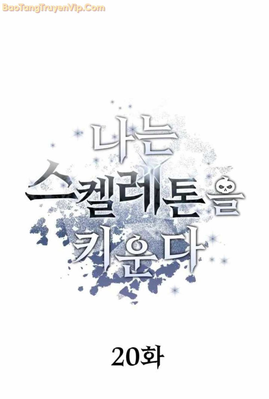 Ta Nuôi 1 Bầy Skeleton Chap 20 - Next Chap 21