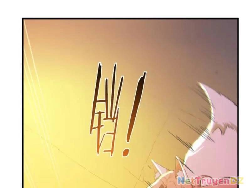 Ta Thật Sự Không Muốn Làm Thánh Tiên Chap 83 - Next Chap 84