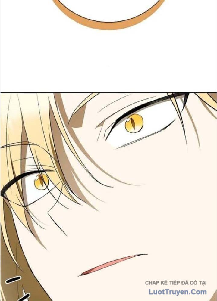 Tái Sinh Thành Tam Thiếu Gia Nhà Đại Công Tước Chap 13 - Next Chap 14