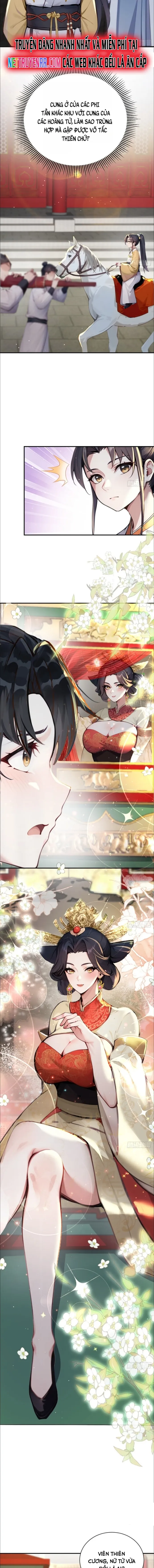 Tên Lý Trị Này Thật Quá Lý Trí Chap 2 - Next Chap 3