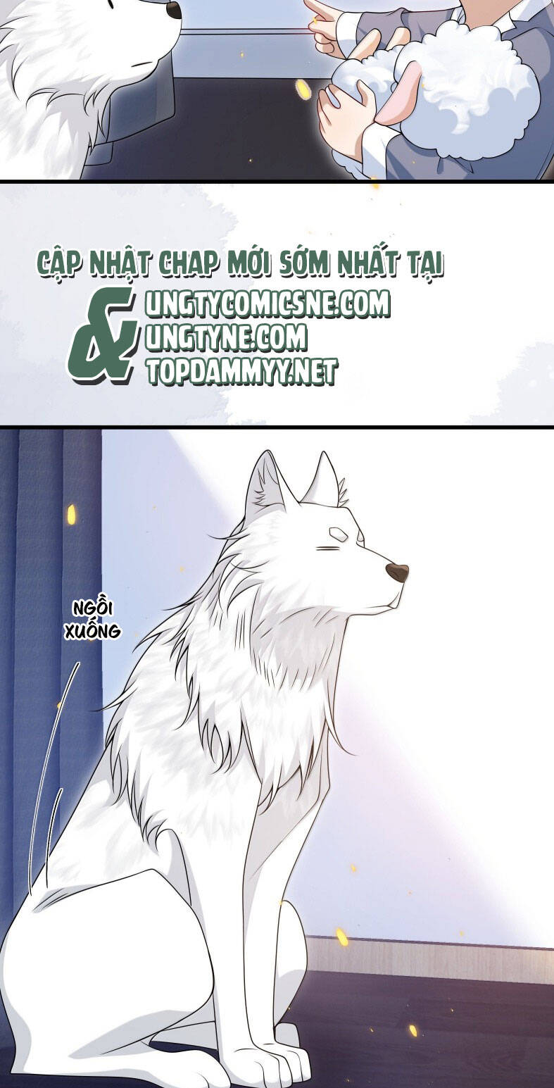 Thẳng Thắn Từ Nghiêm Chap 137 - Next Chap 138