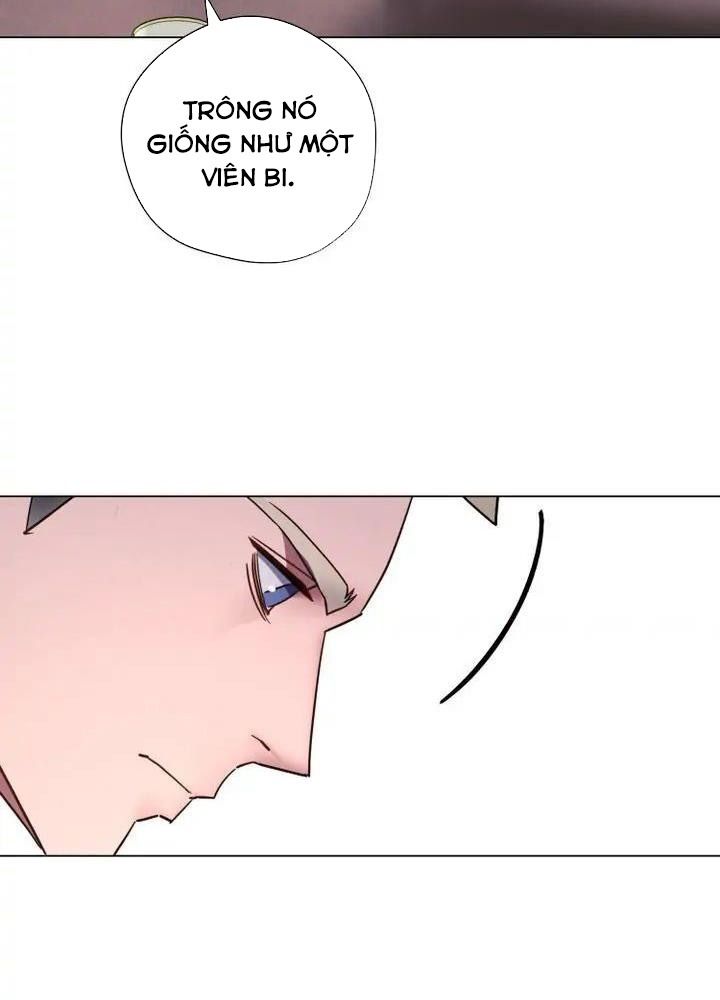 The Live Chap 40 - Next Chap 41