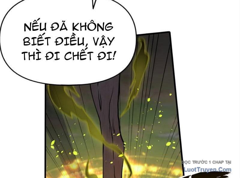 Thiên Đạo Này Cũng Không Ngốc Lắm Chap 161 - Next Chap 162