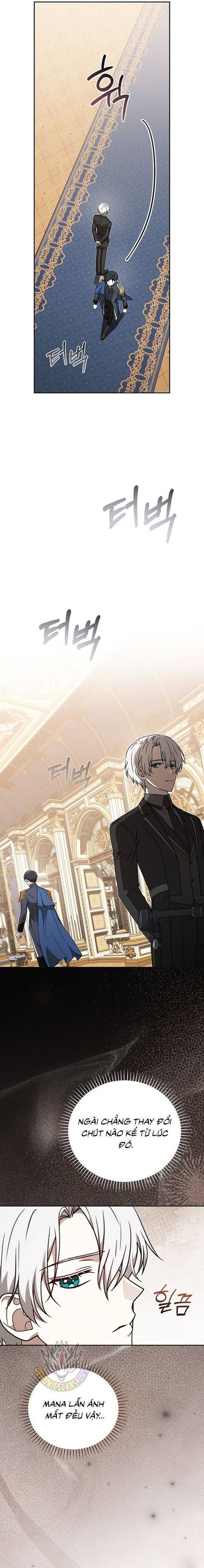 Thiên Tài Phép Thuật Nắm Giữ Khái Niệm Chap 42 - Next Chap 43