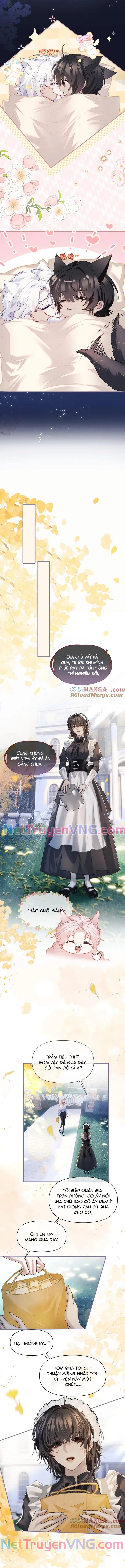 Thiết Lập Yêu Cầu Tôi Phải Yêu Ngài Chap 10 - Next Chap 11