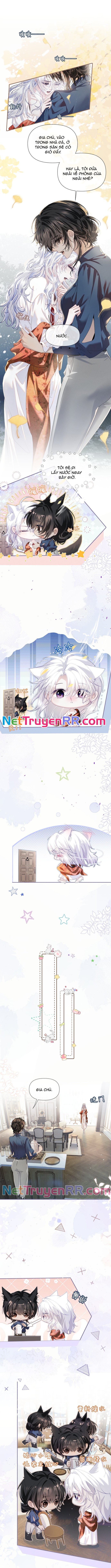 Thiết Lập Yêu Cầu Tôi Phải Yêu Ngài Chap 8 - Next Chap 9