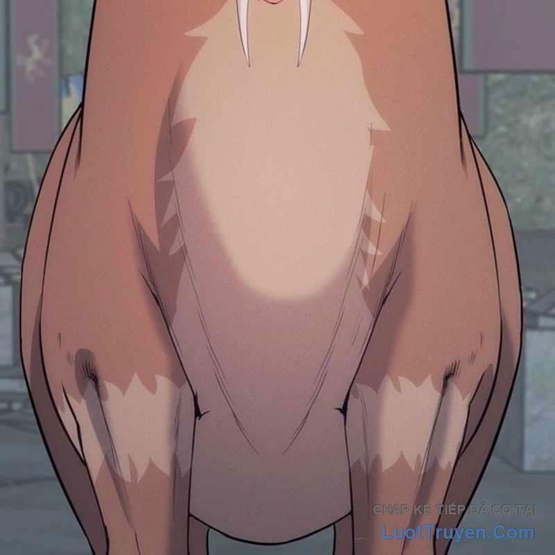 Thủ Hộ Thành Bằng Quái Vật Thuần Hóa Chap 13 - Next Chap 14