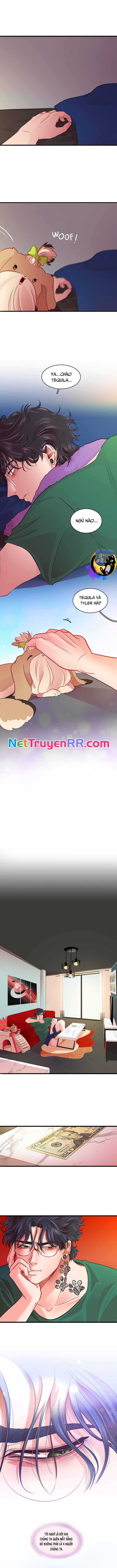 Tình Yêu Dẫn Lối Chap 38 - Next Chap 39